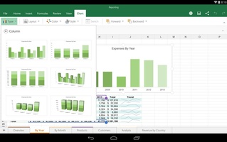 Microsoft Excel screenshot 4