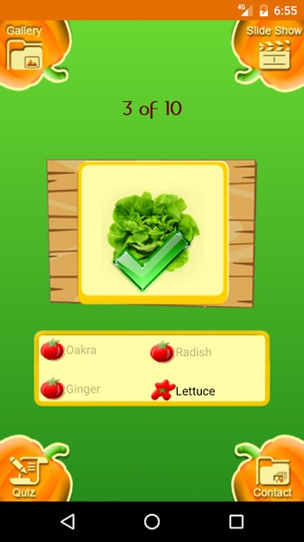 Vegetable Book - Preview 10