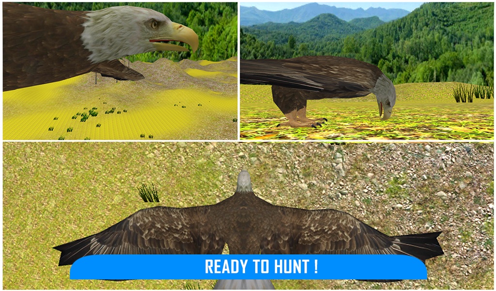 Wild Eagle Survival Hunt - Preview 6