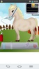 Horse Pregnancy screenshot 3