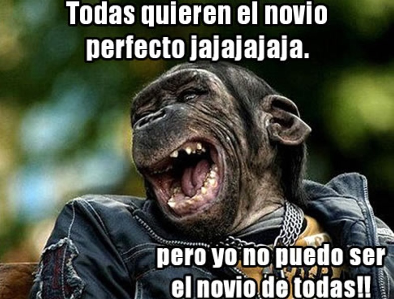 Imagenes de risa y chistes - Preview 2