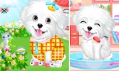 Fluffy Puppy Pet Spa And Care screenshot 5