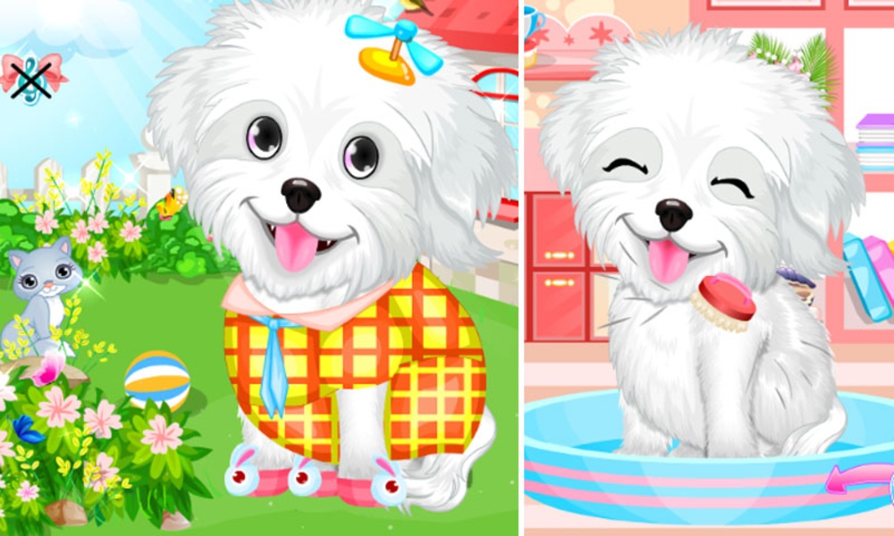 Fluffy Puppy Pet Spa And Care - Preview 5