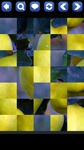 Jigsaw Puzzle Animals Cars And More - Preview 3