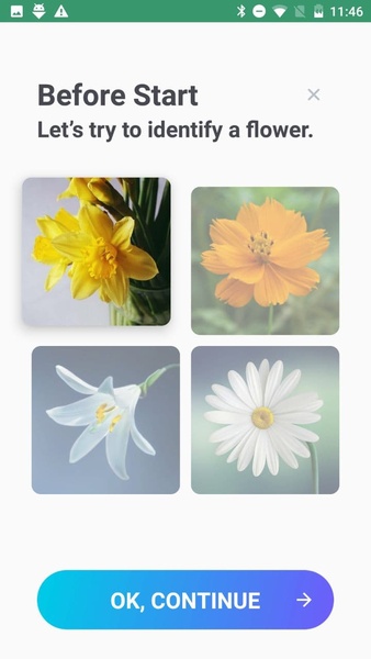 Plant Lens - Preview 6