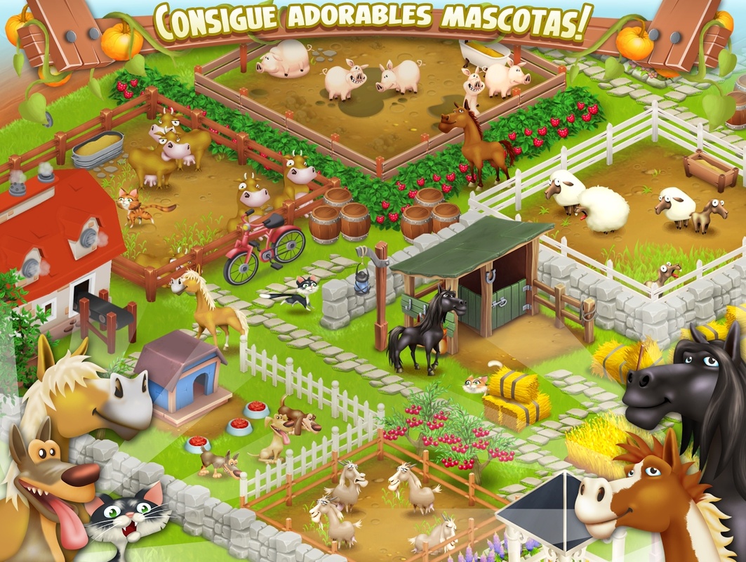 Hay Day 1 53 46 For Android Download