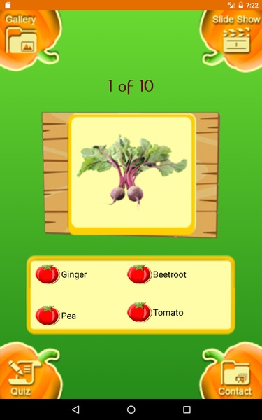Vegetable Book - Preview 4