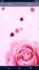 Spring Rose Live Wallpaper screenshot 4
