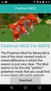 Pixelmon MOD screenshot 2