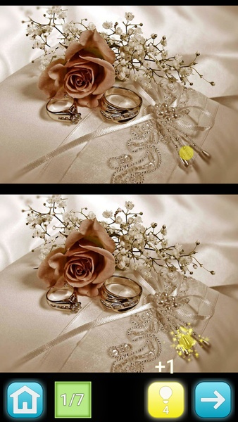 Lemon - Find Differences - Preview 9