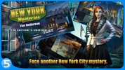 New York Mysteries 4 screenshot 6