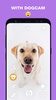 DogCam - Dog Selfie Filters an screenshot 3