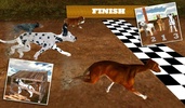 Greyhound Dog Racing 3D screenshot 6