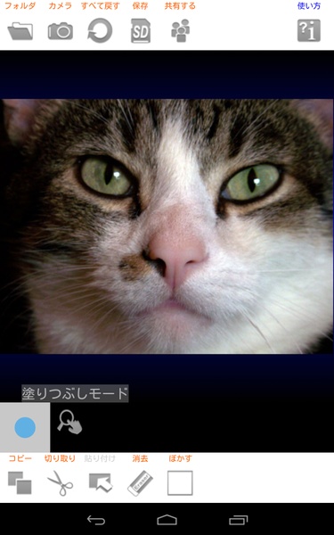 Photo Hacker Copy Paste Editor - Preview 13