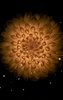 Galaxy Flower screenshot 2