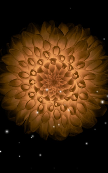 Galaxy Flower - Preview 2