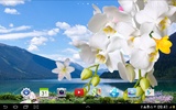 Spring Garden Live Wallpaper screenshot 2