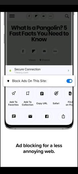 Diamond Browser - Preview 6