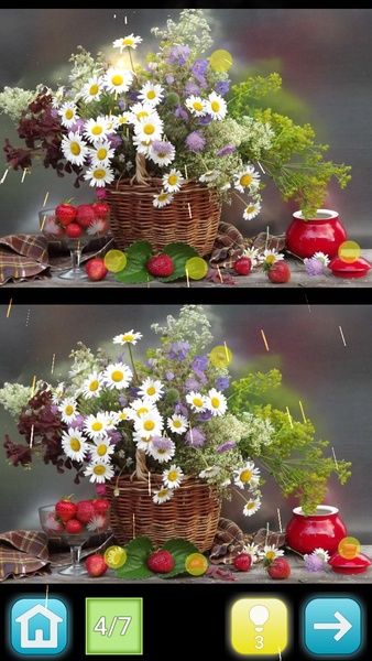 Lemon - Find Differences - Preview 7