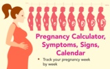 Pregnancy calculator, symptoms screenshot 7