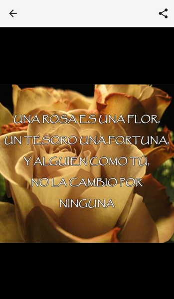 Versos de Amor para Enamorar - Preview 7