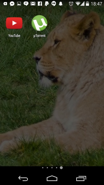 ScreensProV2 - Preview 15
