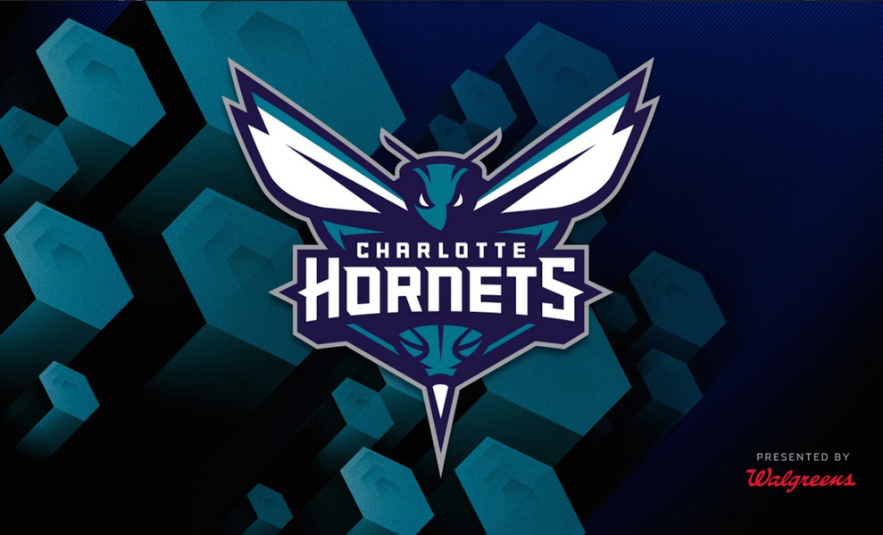 Hornets - Preview 10