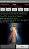 The Divine Mercy Chaplet screenshot 3