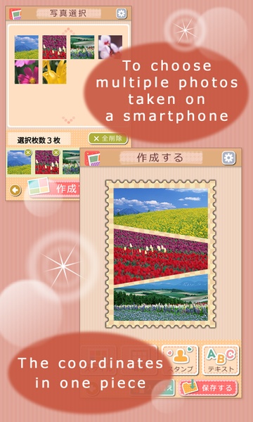 Photo Coordinator - Preview 4
