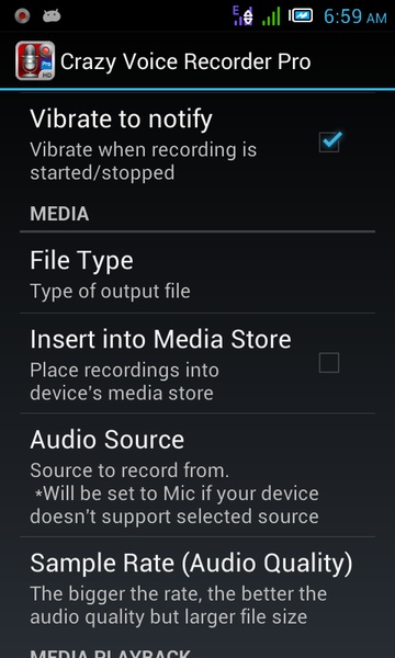 Crazy Voice Recorder - Preview 4