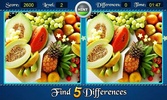 Find Five Differences screenshot 2