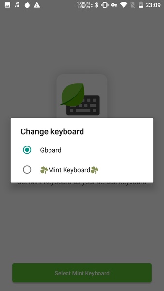 Mint Keyboard - Preview 5
