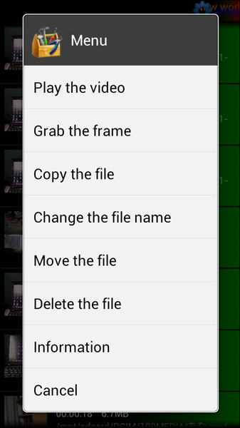 Movie Frame Grabber - Preview 3