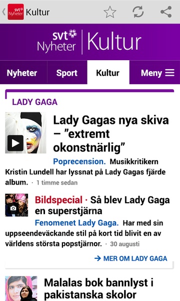 SVT Nyheter - Preview 2
