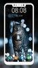 Cat Wallpaper HD screenshot 4