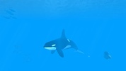 VR Ocean Aquarium 3D screenshot 6