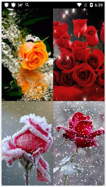 Rose Live Wallpapers - Preview 2