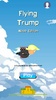 Flying Trump screenshot 6