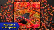 Jigsaw Puzzle Epic screenshot 1