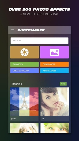 PhotoMaker - Preview 6
