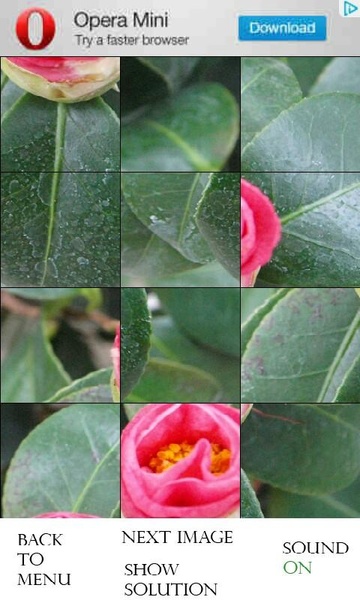 PhotoPuzzle - Flowers free - Preview 5