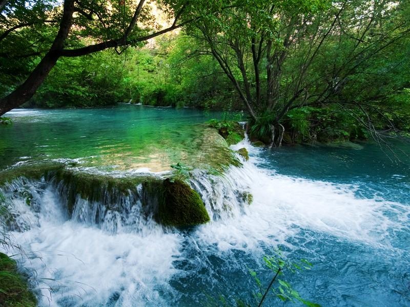 Green Nature HD Wallpaper - Preview 1