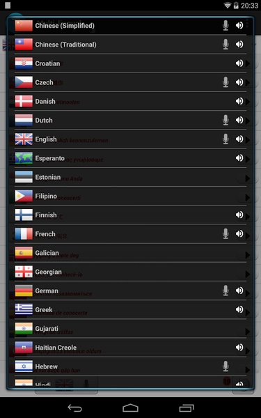 Voice Translate - Preview 3