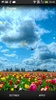 Spring Flowers Live Wallpaper screenshot 4