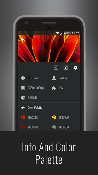 Flowers HD Wallpapers - Preview 12