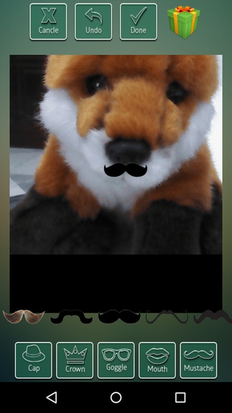 Face Photo Changer - Preview 3