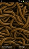 Can of Worms screenshot 4