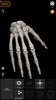 Skeleton 3D Anatomy screenshot 13