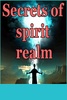 Secrets of spirit realm screenshot 3