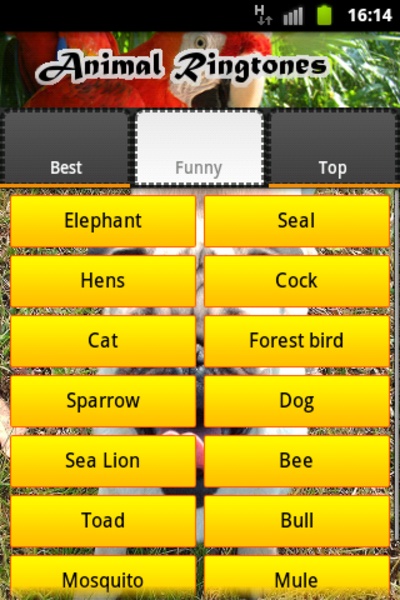 Animal Ringtones - Preview 4
